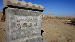 塔克拉瑪幹沙漠之旅全攻略：穿越沙海秘境實用指南