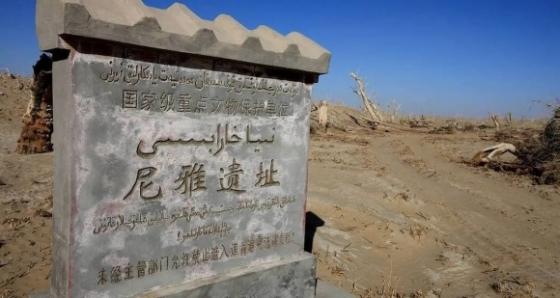 塔克拉瑪幹沙漠之旅全攻略：穿越沙海秘境實用指南