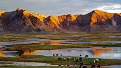 青海旅遊全攻略:四季美景&最佳旅遊季節推薦