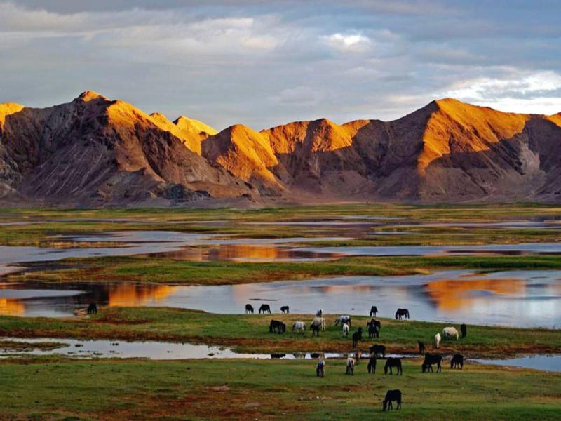 可可西里，大自然的奇蹟