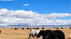 西藏9月天氣旅遊攻略｜ 氣候特點與出行準備全指南