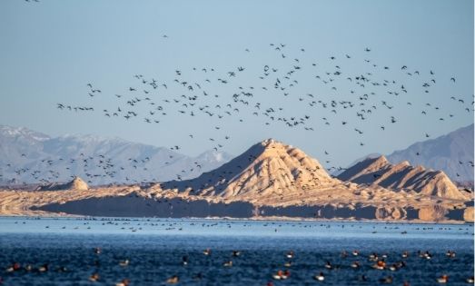 柴達木盆地胡泊