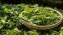 雲南手信:彩云之南特色伴手禮購買攻略