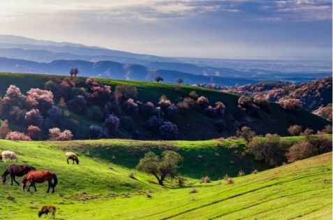 新疆4月天氣遊記攻略｜春日漫遊西域的氣候指南