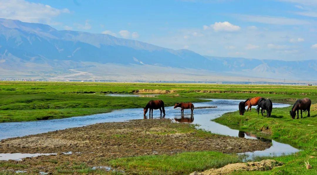 哈密大南湖草原