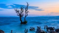 春城昆明海拔探秘：在1900米高原邂逅四季如春