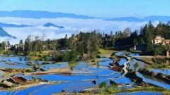 雲南二月旅遊全攻略：早春時節的絕佳選擇與完整費用解析