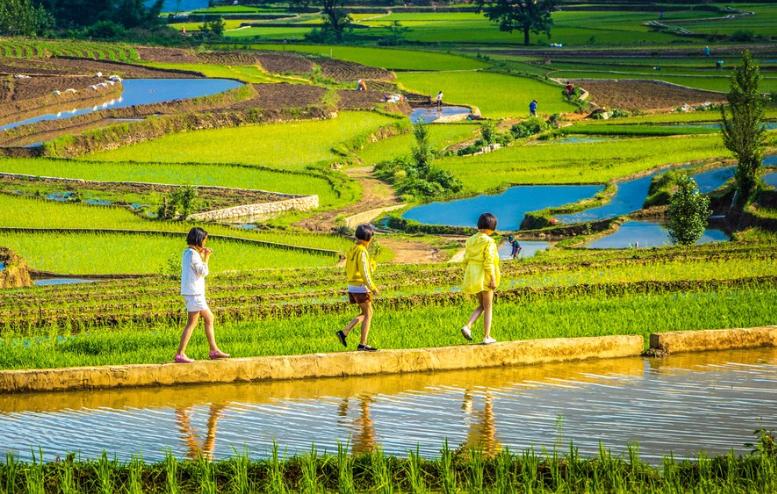 雲南省師宗縣龍慶鄉