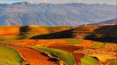 十二月遊雲南：气候指南與秘境打卡