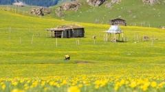 新疆四季天氣全攻略：邂逅西域的每個好時節