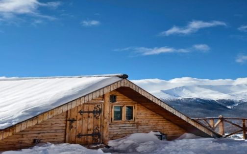冬季喀纳斯旅行攻略|人间仙境般的雪国秘境,全網最完整秋冬玩法指南