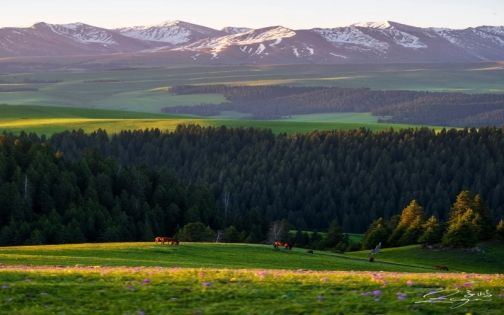 封神的伊犁_1_子屿_来自小红书网页版