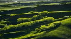新疆那拉提草原怎麼玩？一篇搞懂空中草原、河谷草原、盤龍谷道（全天行程＋自駕指南）
