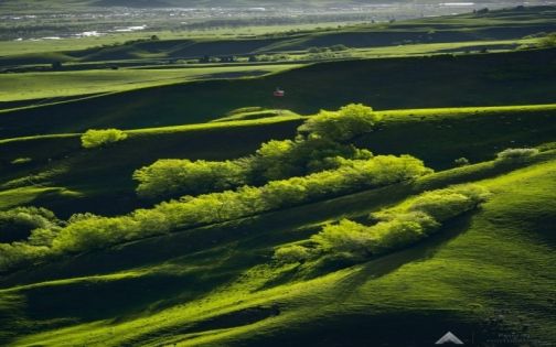 新疆那拉提草原怎麼玩？一篇搞懂空中草原、河谷草原、盤龍谷道（全天行程＋自駕指南）