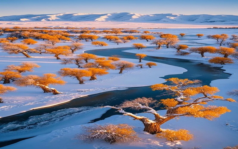 【冬季限定】醉美新疆冰雪喀納斯童話新視界11天之旅