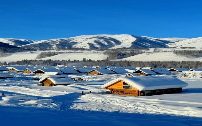 【冬季限定】醉美新疆冰雪喀納斯童話新視界11天之旅