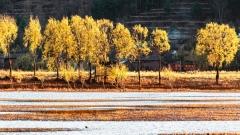 雲南2月天氣：暖春初綻時的滇境氣候與旅行秘辛