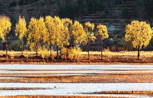 雲南2月天氣：暖春初綻時的滇境氣候與旅行秘辛