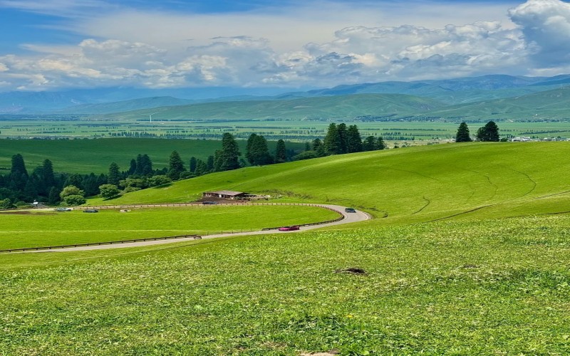 限定·新疆杏花10日|烏魯木齊接機+吐魯番+伊犁杏花+那拉提草原全景行程