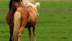 雲南6月天氣：雨季裡的秘境溫柔與出行智慧