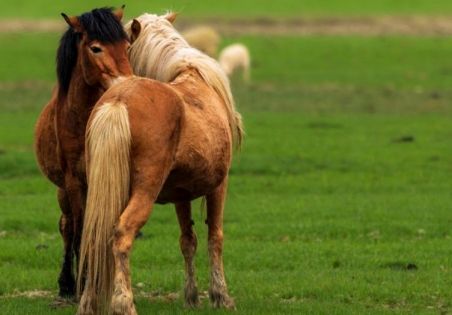 雲南6月天氣：雨季裡的秘境溫柔與出行智慧