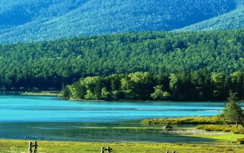 喀納斯旅游攻略：門票區間車怎麼買不踩坑｜三灣一湖路線｜冬季交通與穿衣清單