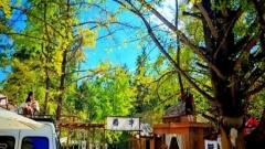 四季如畫、擇時而行：解鎖雲南旅行的最佳時光