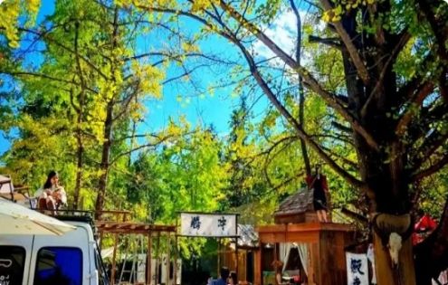 四季如畫、擇時而行：解鎖雲南旅行的最佳時光