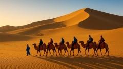 絲綢之路自由行：走進文明的呼吸