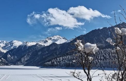 北疆几月去最美:四季輪轉間邂逅不一樣的風光