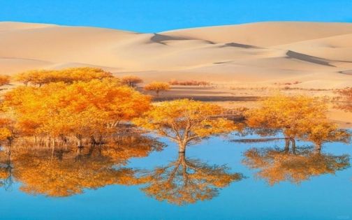 2026 秋季輪台胡楊林最實用攻略｜拍照點位＋3 日環線＋周末特種兵路線