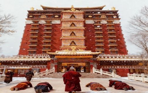 放弃哈尔滨❗冬天来甘南旅游，真的赢麻了_4_1001户外旅行_来自小红书网页版