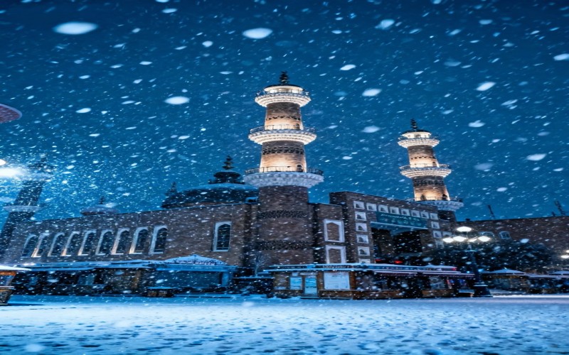 限定·新疆杏花10日|烏魯木齊接機+吐魯番+伊犁杏花+那拉提草原全景行程