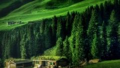 新疆6月天氣旅遊指南:景點適配+安全避坑+行程服務全攻略