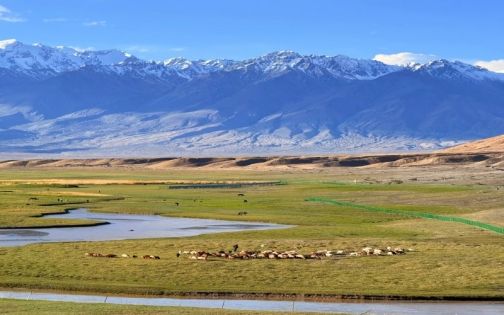 绝美～塔合曼湿地_1_很爱吃吃喝喝的大头🌿_来自小红书网页版