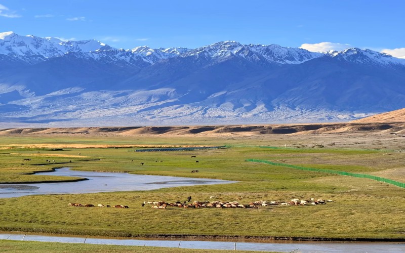 【春季限定】新疆南疆古道杏花塔縣帕米爾杏花季6天5晚