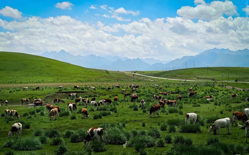 河西走廊九日精粹：一眼千禧年，萬象山河 9 天 8 晚