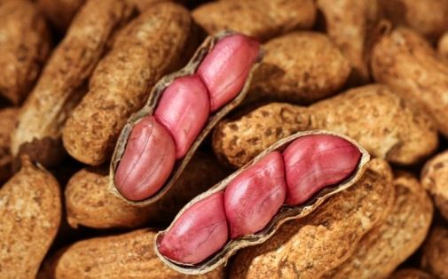 雪域江南尋味記｜林芝特產全攻略