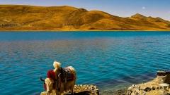 西藏山南海拔全攻略：必看的游玩与适应指南