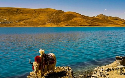 西藏山南海拔全攻略：必看的游玩与适应指南