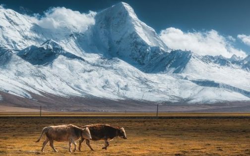 日喀则地區旅遊景點海拔介紹及暢遊指南