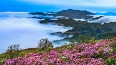 川西什麼時候去最好？如何根據你的需求選擇出行季節