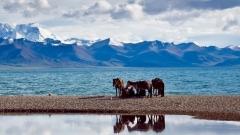 乘西寧至日喀則火車漫遊雪域|解鎖高原秘境之旅