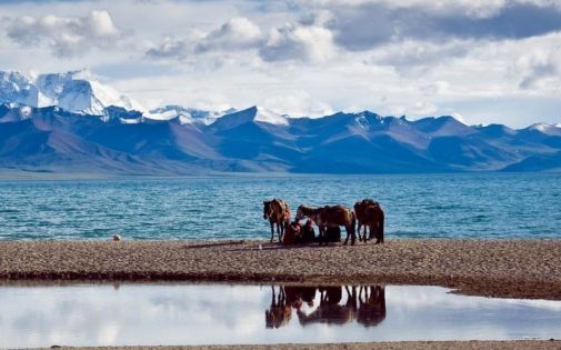 乘西寧至日喀則火車漫遊雪域｜解鎖高原秘境之旅