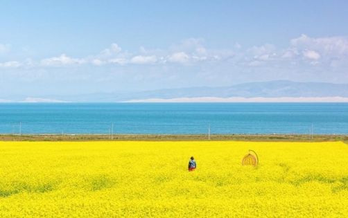 乘西寧至日喀則火車漫遊雪域｜解鎖高原秘境之旅