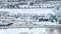 西藏2月天氣全攻略:藏冬秘境遊玩指南