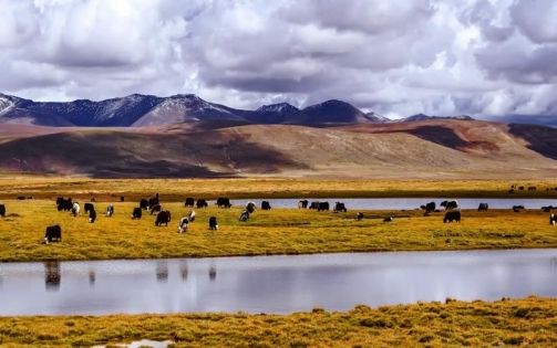 格爾木至拉薩火車全攻略:天路之旅的完美出行指南