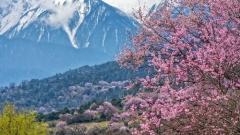 西藏三月旅遊實用指南:天氣詳解、穿衣建議與必去景點