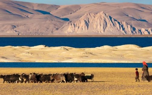 乘北京至拉薩火車:赴一場天路與美景的邂逅