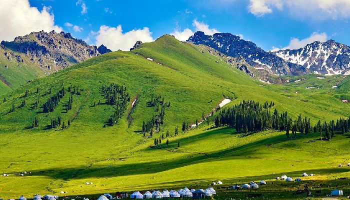 新疆那拉提草原